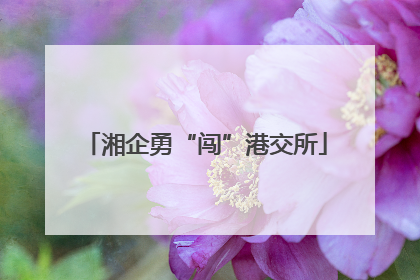 湘企勇“闯”港交所