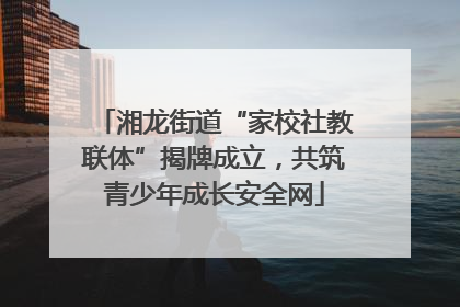湘龙街道“家校社教联体”揭牌成立，共筑青少年成长安全网
