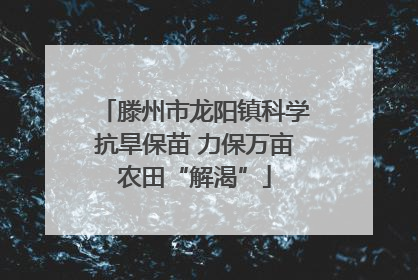 滕州市龙阳镇科学抗旱保苗 力保万亩农田“解渴”