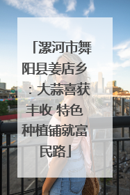 漯河市舞阳县姜店乡：大蒜喜获丰收 特色种植铺就富民路