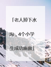 老人掉下水沟，4个小学生成功施救