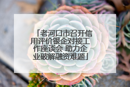 老河口市召开信用评价银企对接工作座谈会 助力企业破解融资难题