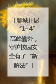 聊城开展“1+4”高峰勤务，守护校园安全有了“新解法”