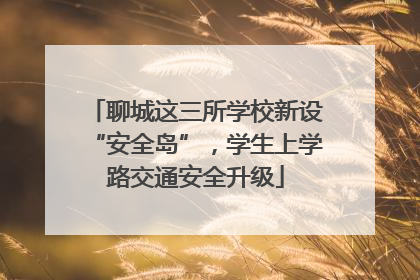 聊城这三所学校新设“安全岛”，学生上学路交通安全升级