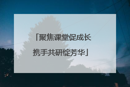 聚焦课堂促成长 携手共研绽芳华