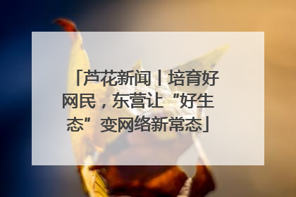 芦花新闻丨培育好网民，东营让“好生态”变网络新常态