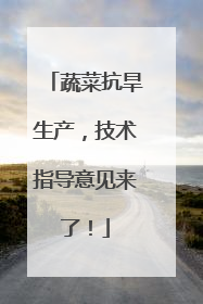 蔬菜抗旱生产，技术指导意见来了！