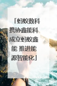 蚂蚁数科携协鑫能科成立蚂蚁鑫能 推进能源智能化