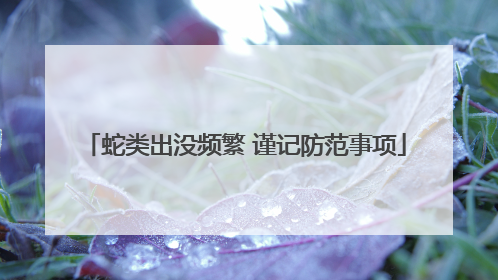 蛇类出没频繁 谨记防范事项