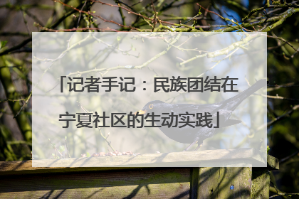 记者手记：民族团结在宁夏社区的生动实践