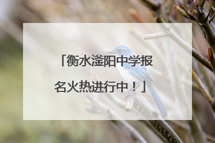 衡水滏阳中学报名火热进行中！