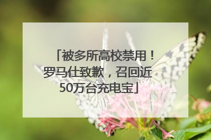 被多所高校禁用！罗马仕致歉，召回近50万台充电宝