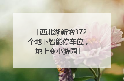 西北湖新增372个地下智能停车位，地上变小游园