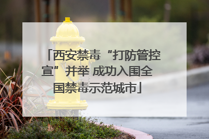西安禁毒“打防管控宣”并举 成功入围全国禁毒示范城市