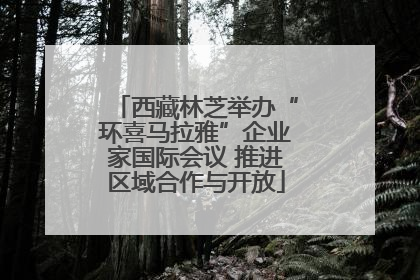 西藏林芝举办“环喜马拉雅”企业家国际会议 推进区域合作与开放