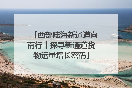 西部陆海新通道向南行丨探寻新通道货物运量增长密码