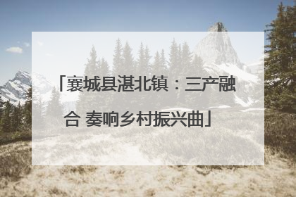 襄城县湛北镇：三产融合 奏响乡村振兴曲