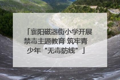 襄阳磁器街小学开展禁毒主题教育 筑牢青少年“无毒防线”