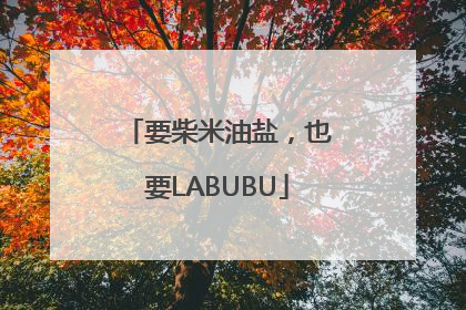 要柴米油盐，也要LABUBU