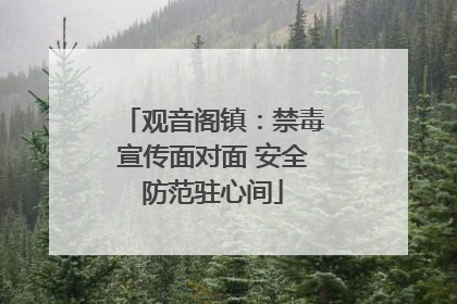 观音阁镇：禁毒宣传面对面 安全防范驻心间