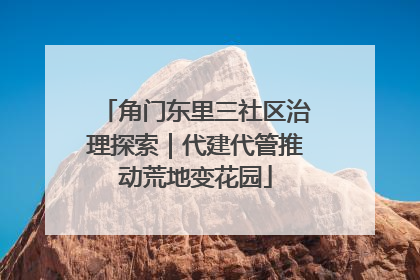 角门东里三社区治理探索｜代建代管推动荒地变花园