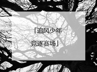 追风少年竞逐赛场