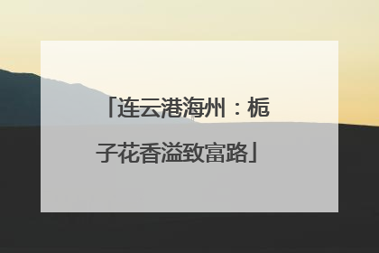 连云港海州：栀子花香溢致富路