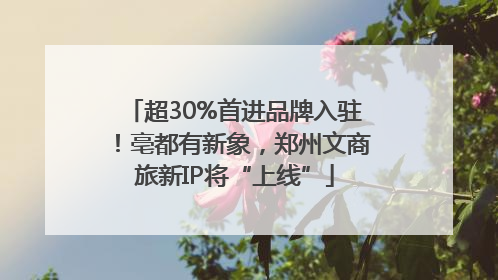 超30%首进品牌入驻！亳都有新象，郑州文商旅新IP将“上线”