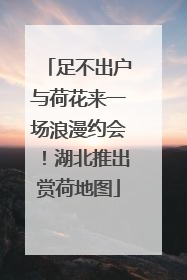足不出户与荷花来一场浪漫约会！湖北推出赏荷地图