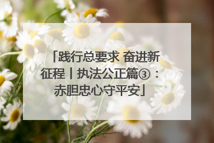 践行总要求 奋进新征程丨执法公正篇③：赤胆忠心守平安