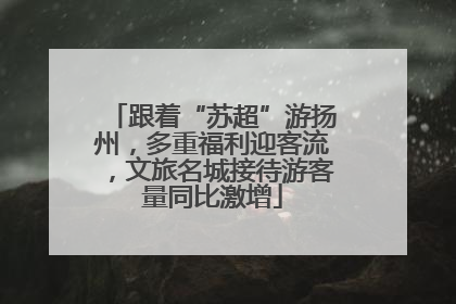 跟着“苏超”游扬州，多重福利迎客流，文旅名城接待游客量同比激增