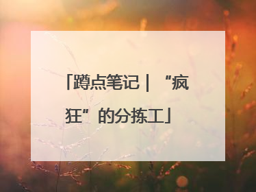 蹲点笔记｜“疯狂”的分拣工