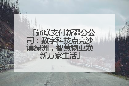 通联支付新疆分公司：数字科技点亮沙漠绿洲，智慧物业焕新万家生活