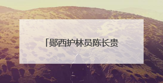 郧西护林员陈长贵的“双面人生”：左手青山，右手亲人