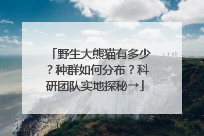 野生大熊猫有多少？种群如何分布？科研团队实地探秘→