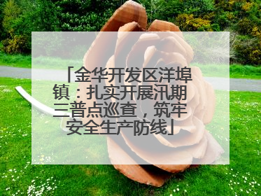 金华开发区洋埠镇：扎实开展汛期三普点巡查，筑牢安全生产防线