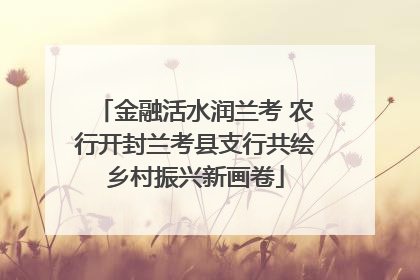 金融活水润兰考 农行开封兰考县支行共绘乡村振兴新画卷