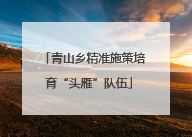 青山乡精准施策培育“头雁”队伍
