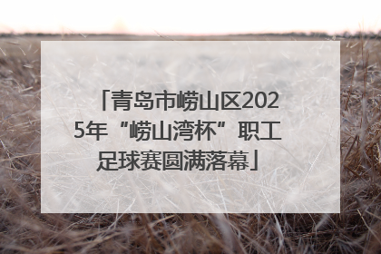 青岛市崂山区2025年“崂山湾杯”职工足球赛圆满落幕