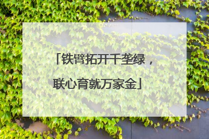 铁臂拓开千垄绿，联心育就万家金