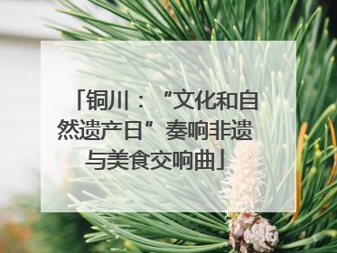 铜川：“文化和自然遗产日”奏响非遗与美食交响曲