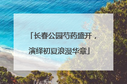 长春公园芍药盛开，演绎初夏浪漫华章