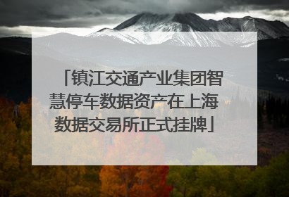 镇江交通产业集团智慧停车数据资产在上海数据交易所正式挂牌