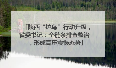 陕西“护鸟”行动升级，省委书记：全链条排查整治，形成高压震慑态势