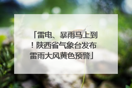 雷电、暴雨马上到！陕西省气象台发布雷雨大风黄色预警