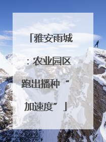 雅安雨城：农业园区跑出播种“加速度”