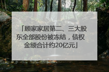 顾家家居第二、三大股东全部股份被冻结，债权金额合计约20亿元
