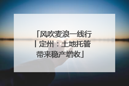 风吹麦浪一线行丨定州：土地托管带来稳产增收