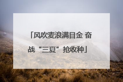 风吹麦浪满目金 奋战“三夏”抢收种