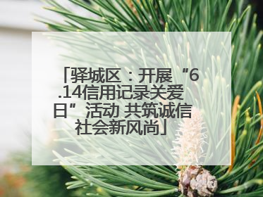 驿城区：开展“6.14信用记录关爱日”活动 共筑诚信社会新风尚